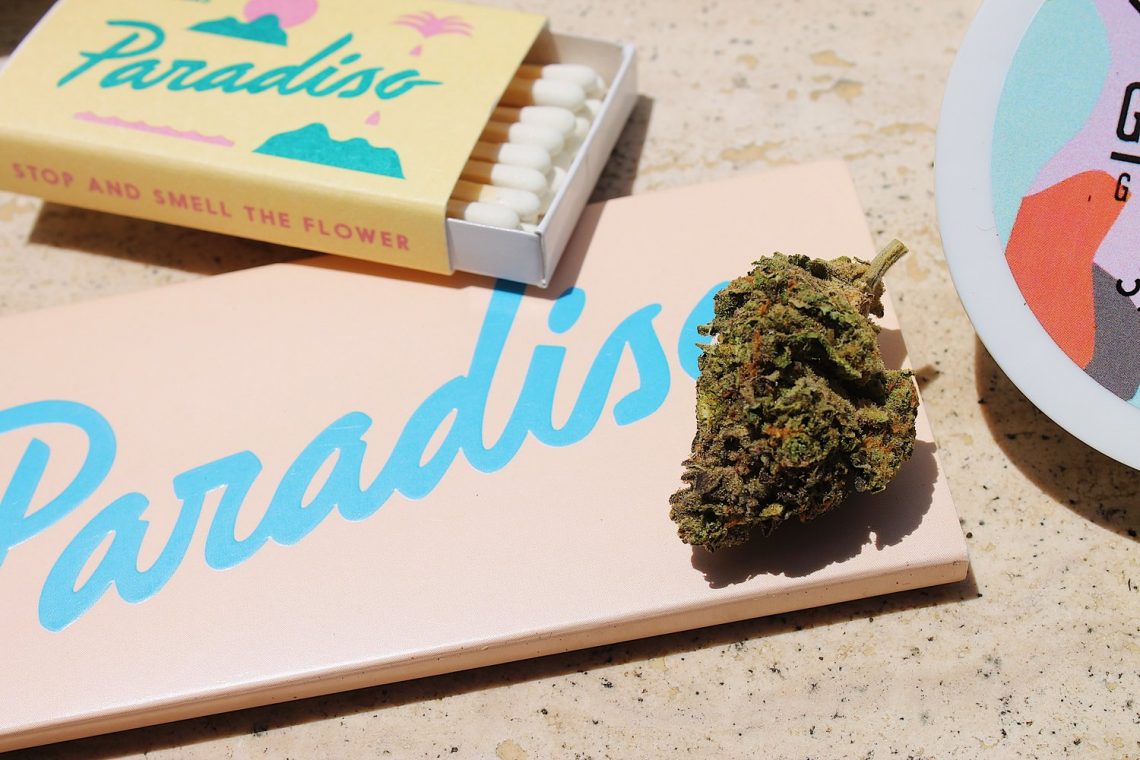 Paradiso packaging cannabis